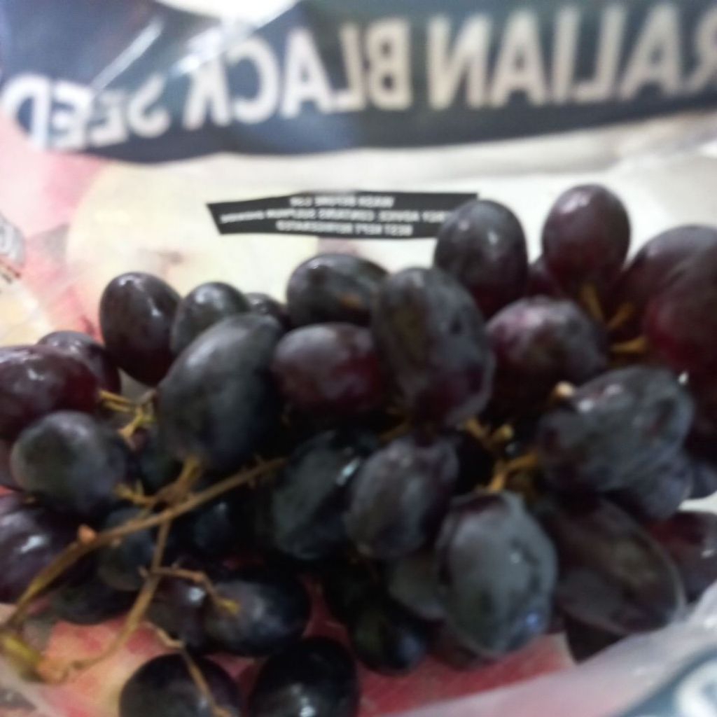 Anggur Hitam / Black seedless grapes
