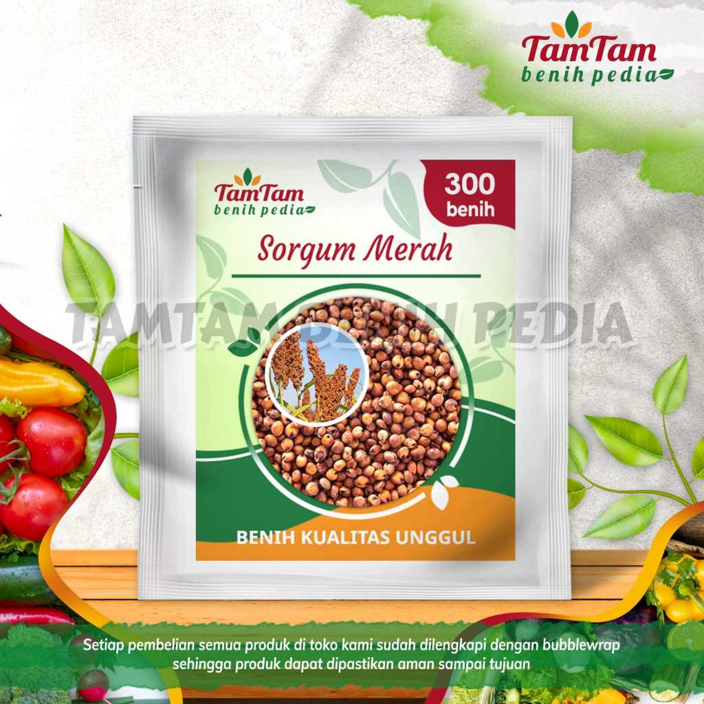300 biji Benih Sorgum Merah import premium