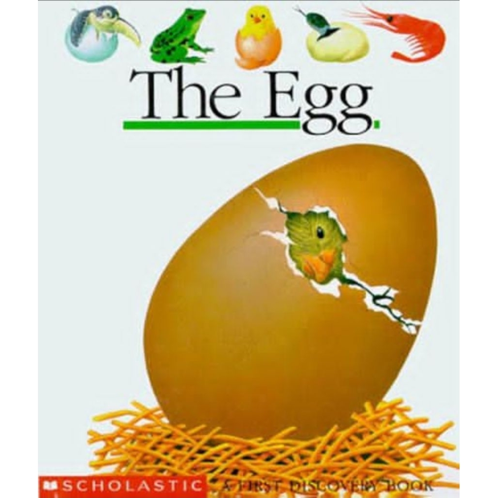 Link CO PREORDER Buku Anak MFD My First Discoveries The Egg Birds Dinosaurs Moonlight Scholastic BUK