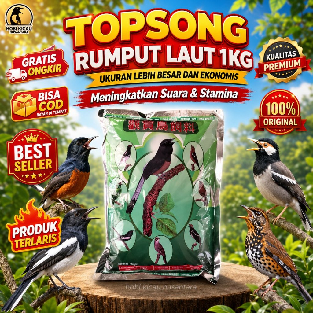 pakan burung TOPSONG Rumput Laut 1kg TOP SONG- Untuk Murai, Kacer, Cucak - Meningkatkan Suara & Stam