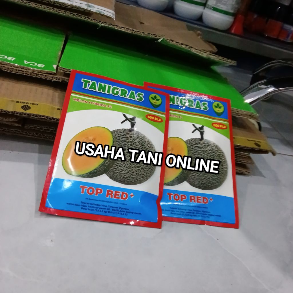 Benih Bibit Melon Orange Top Red Plus F1 (Budidaya Mudah dan menguntungkan),  isi 600 - 800 Butir, E