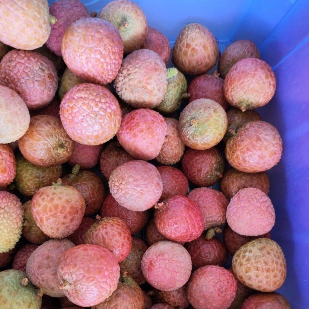 Leci merah/madu 500g