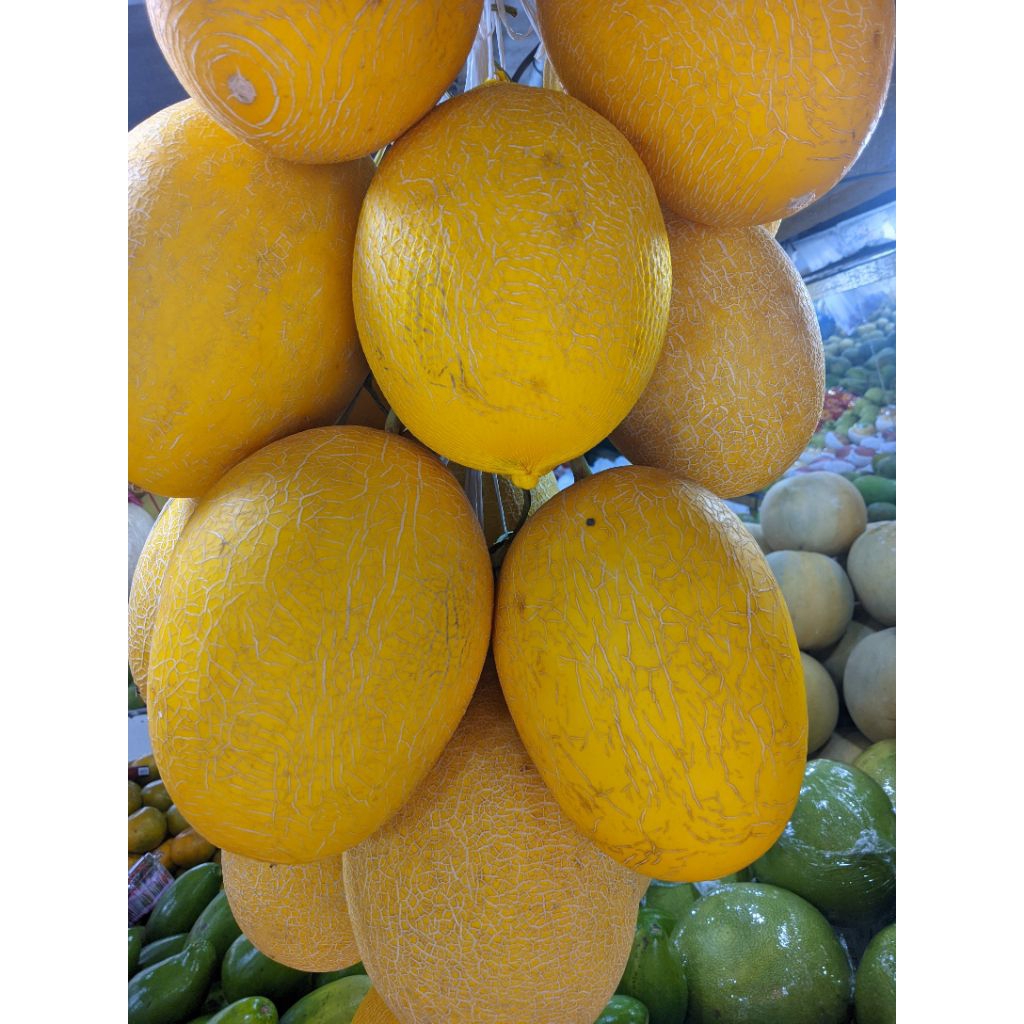 Melon sweet lavender premium