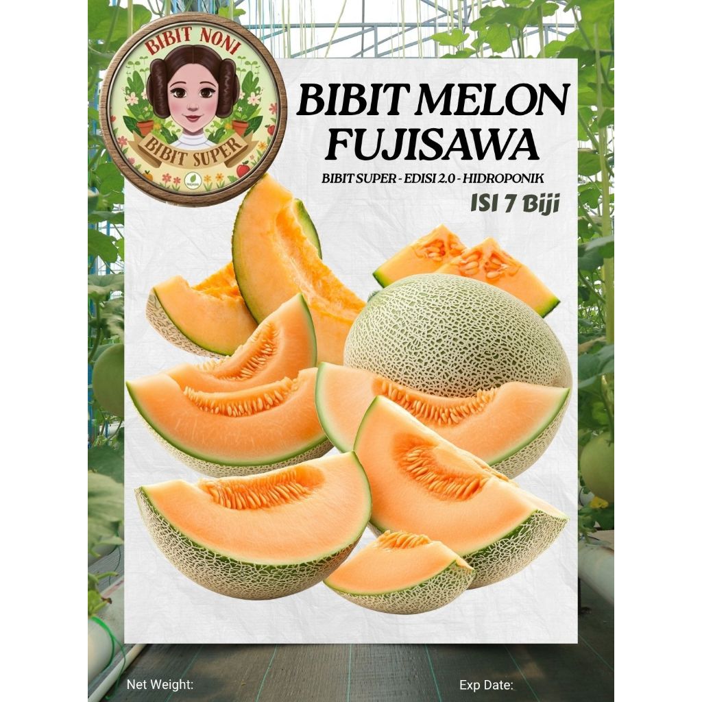 Bibit Melon Fujisawa 2.0 | Biji Benih Melon Fujisawa