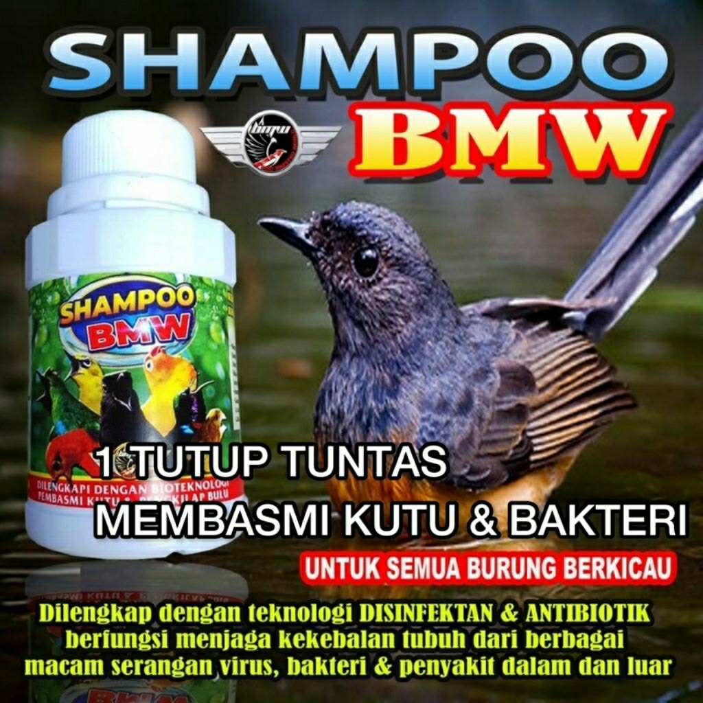 SHAMPO BMW PEMBASMI KUTU
