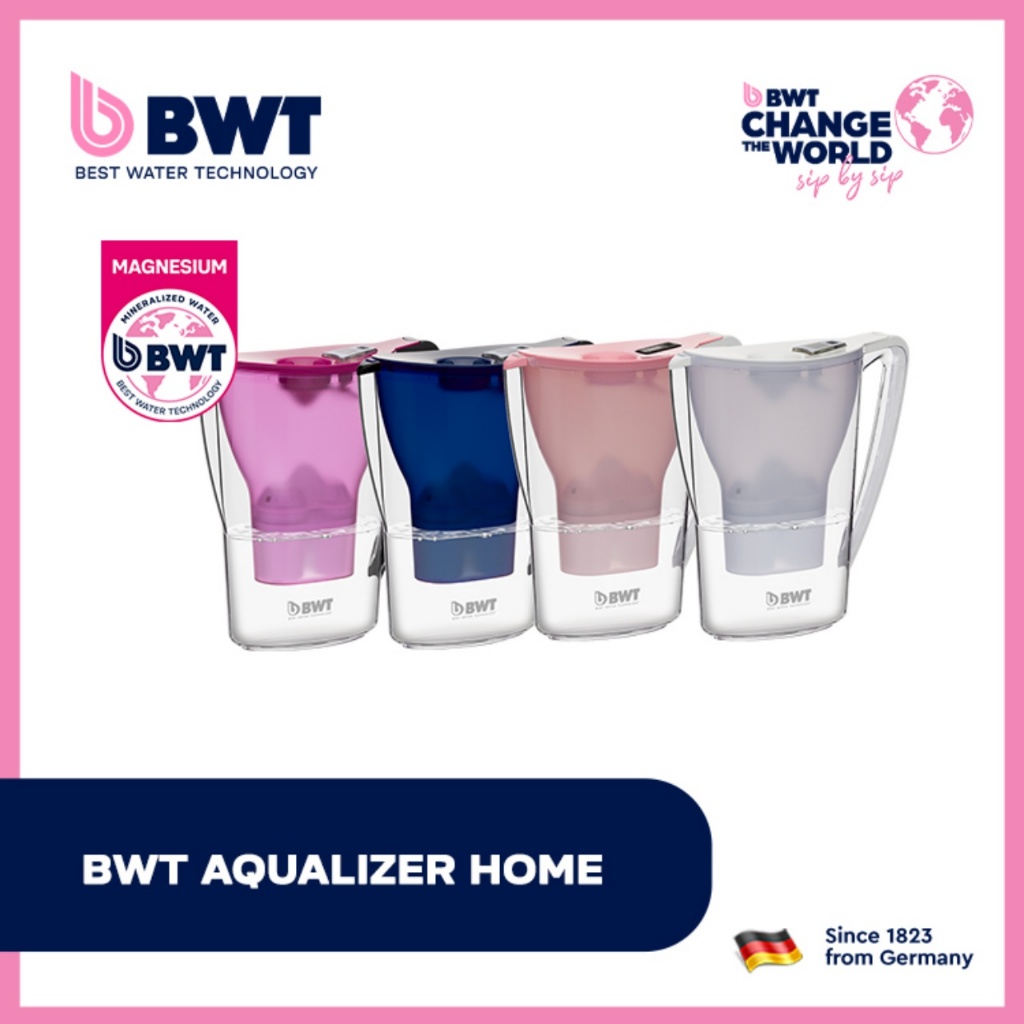 BWT AQUALizer Home