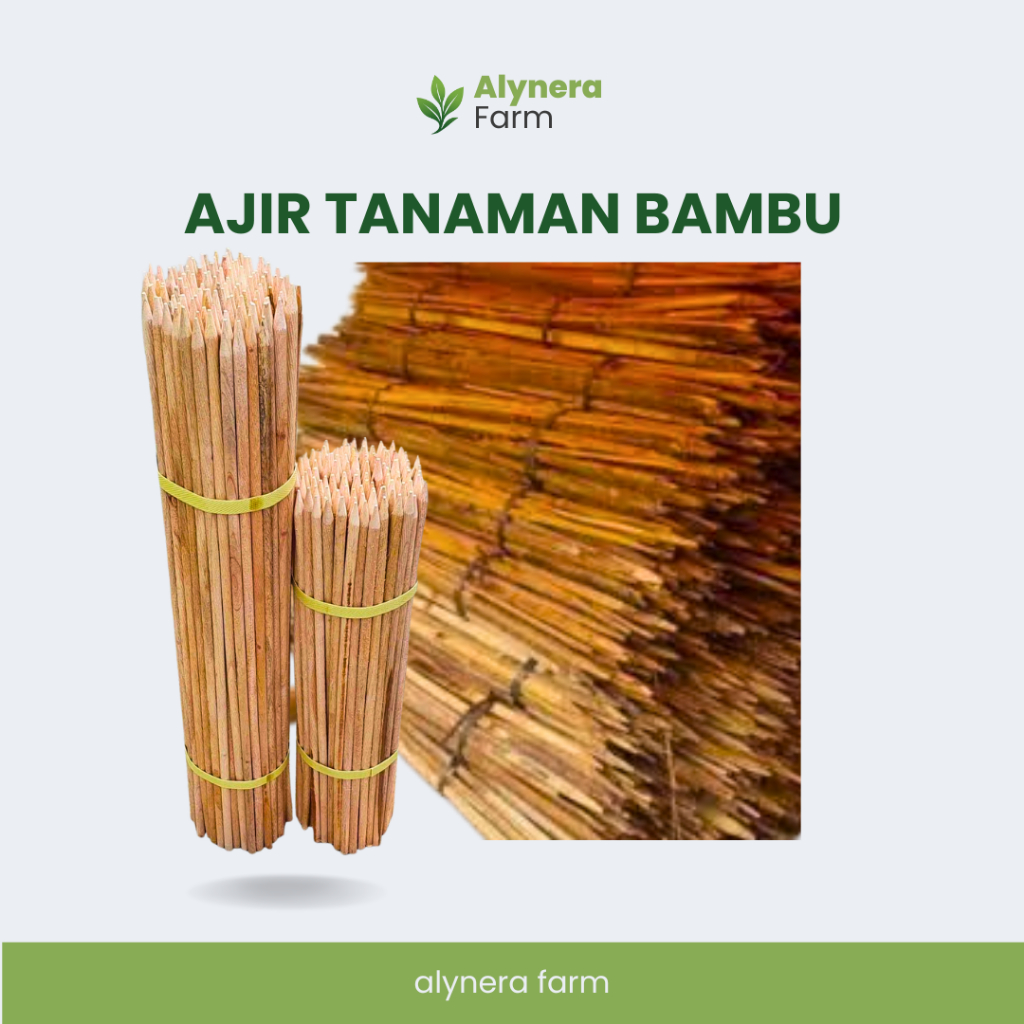 Ajir Tanaman Bambu Panjang 120 Cm