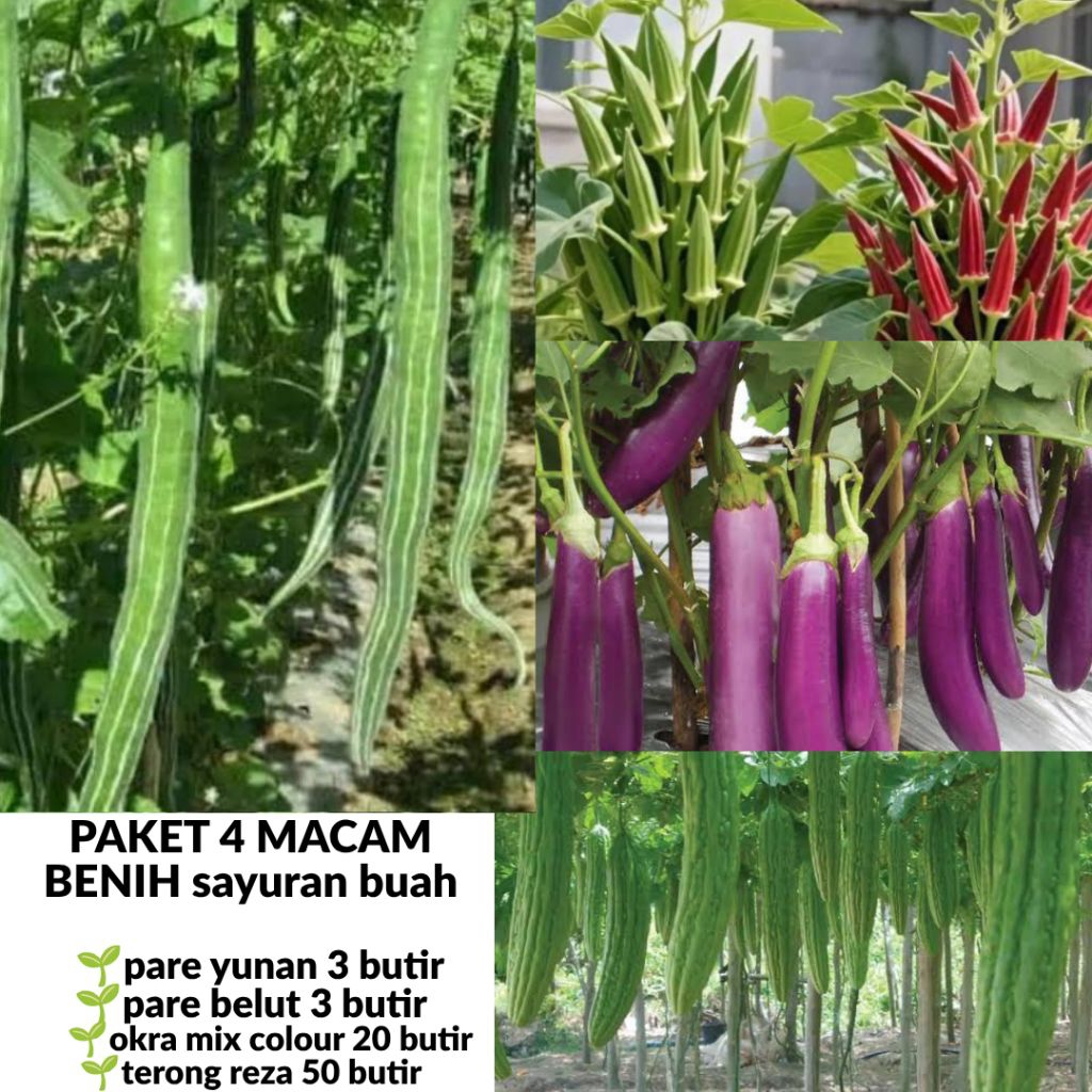 PAKET BENIH SAYURAN DAUN DAN BUAH MIX[KEBUN KOTA]-BIJI  BENIH Tumbuhan "PARE YUNAN PARE BELUT OKRA M