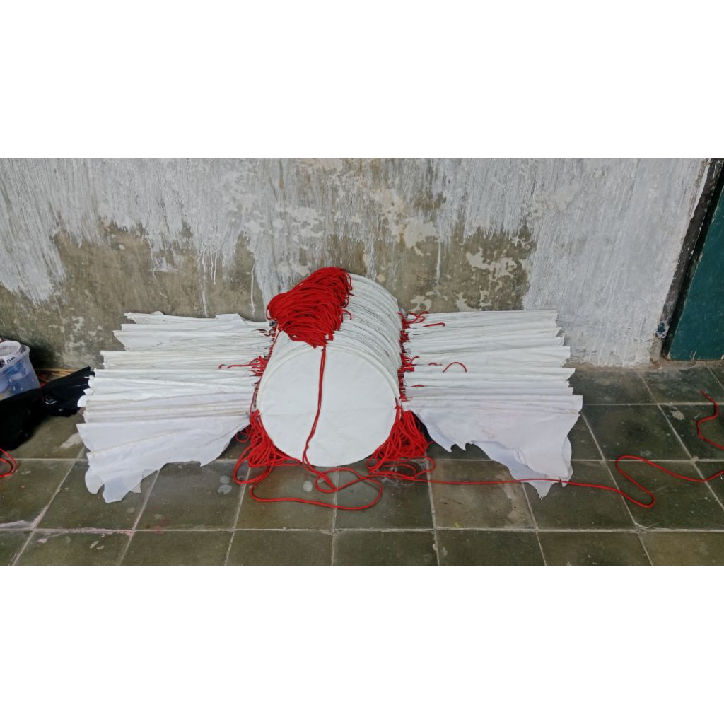 layangan naga dm 30 127keping kurang lbih nya