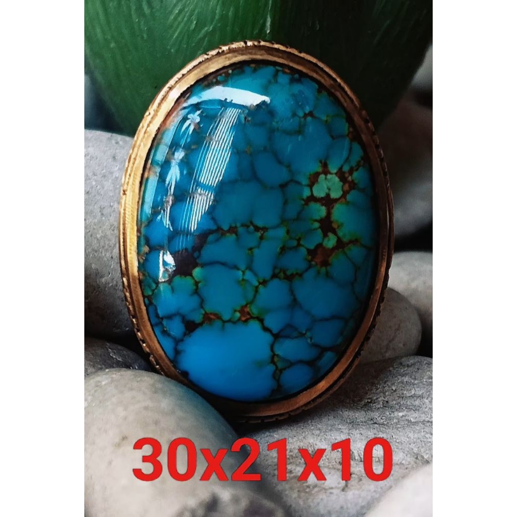 pirus Persia biru fancy