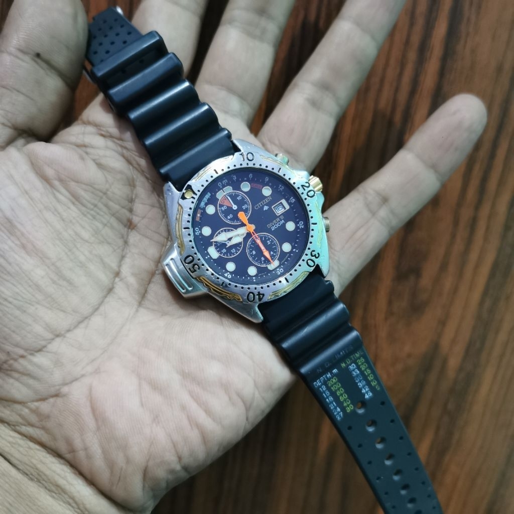 citizen promaster aqualand diver 200m