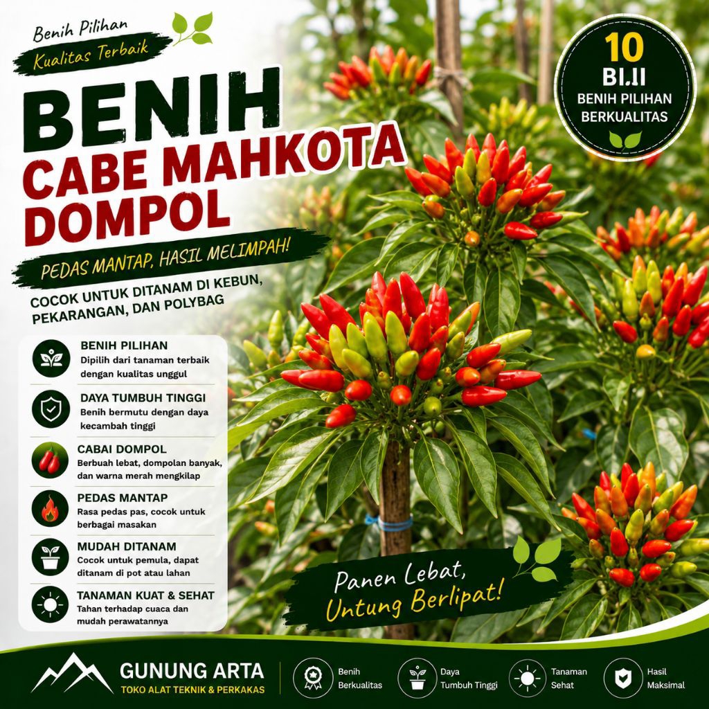 10 Biji Benih Cabe Mahkota Dompol Bibit Cabai Mahkota Dompol Cabe Hias Pedas