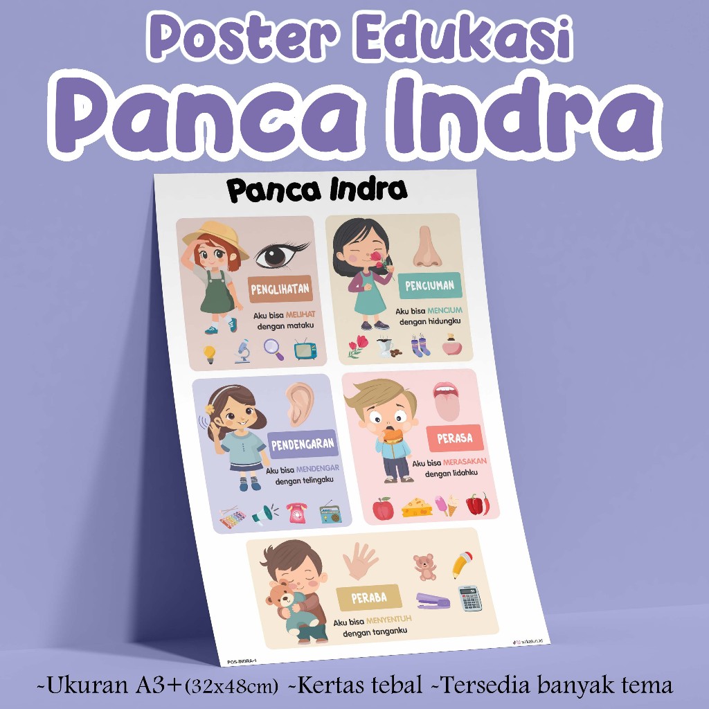 Poster Edukasi Panca Indra - Poster edukasi Azkafun