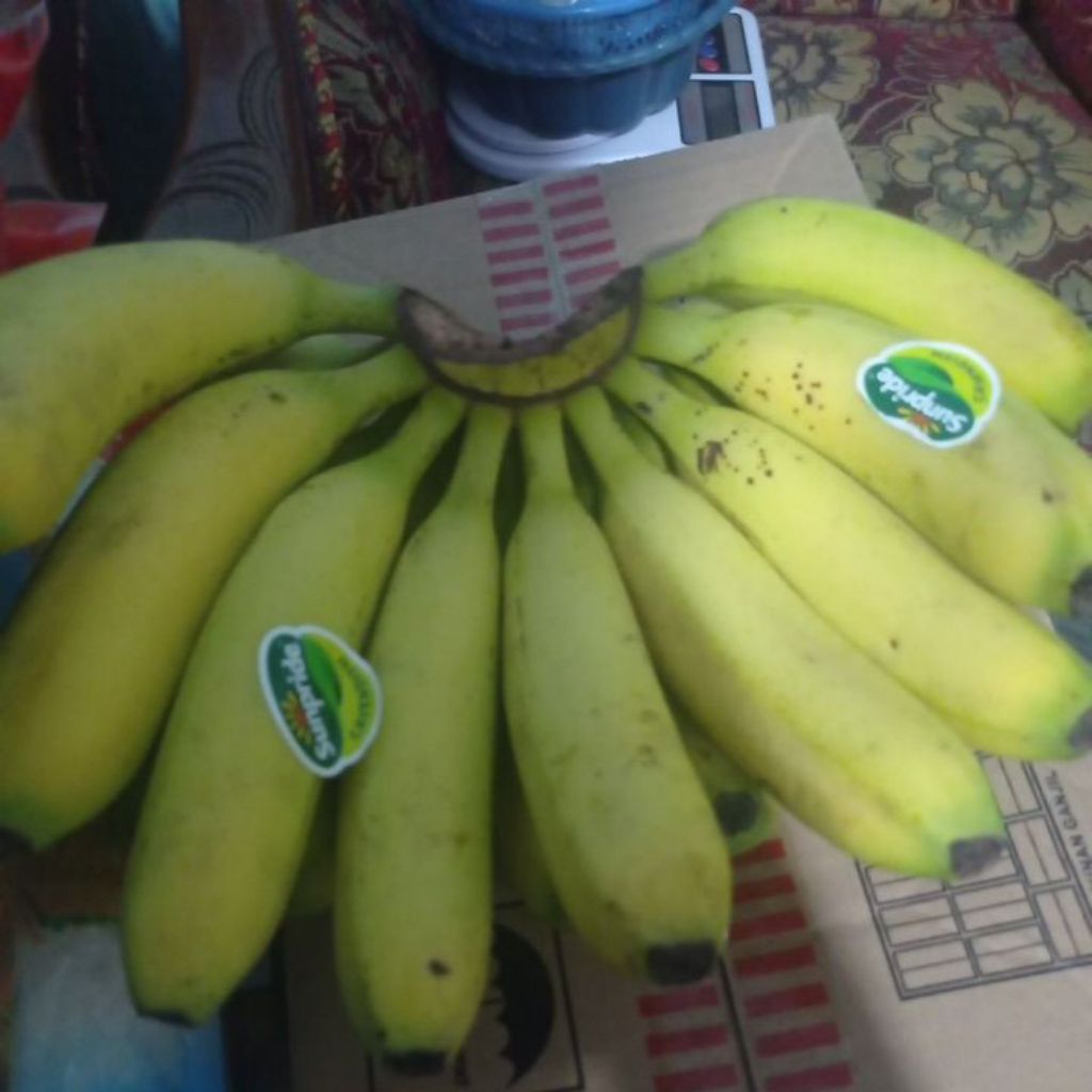 PISANG CAVENDISH 1 SISIR berat 1,2kg an