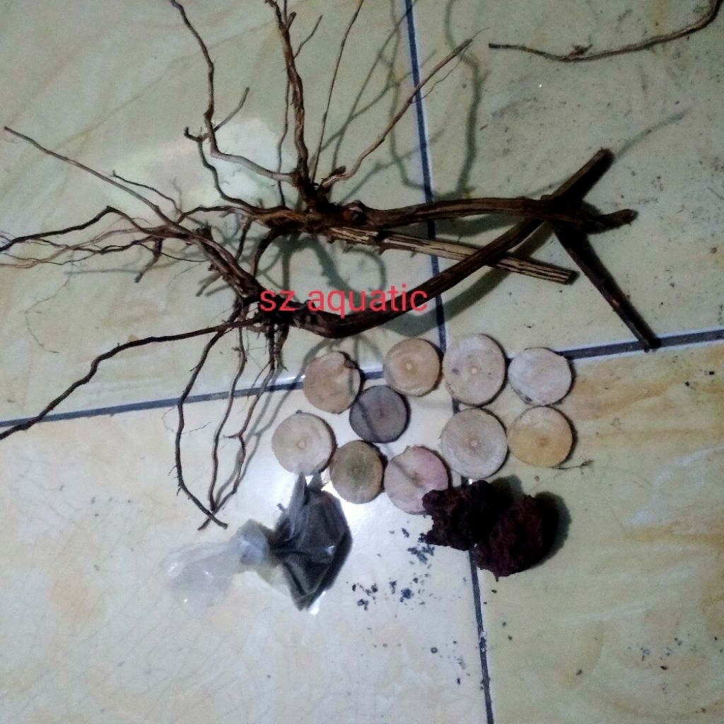 paket buat bikin bonsai mini aquascape