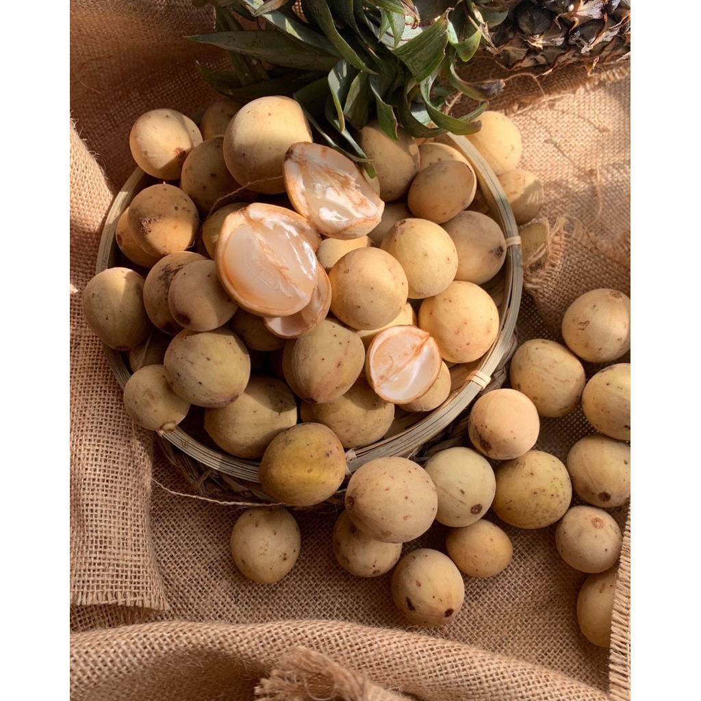 Dukuh Manis Berat 1Kg