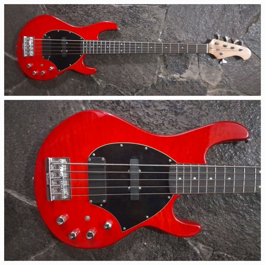 Bass 5 Strings - No Decal ( model Sterling )