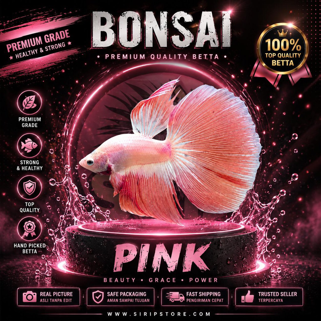 halfmoon cupang bonsai pink
