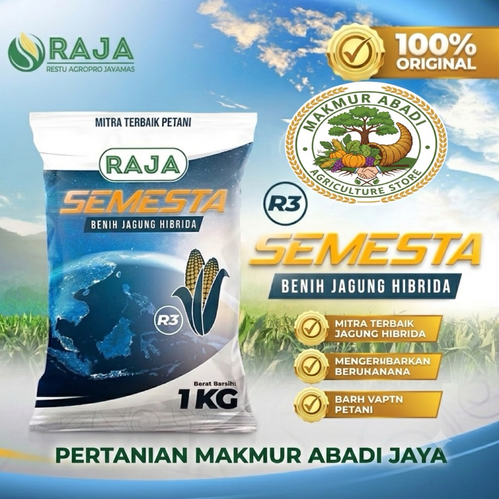 Benih jagung hibrida Raja R3 semesta 1kg
