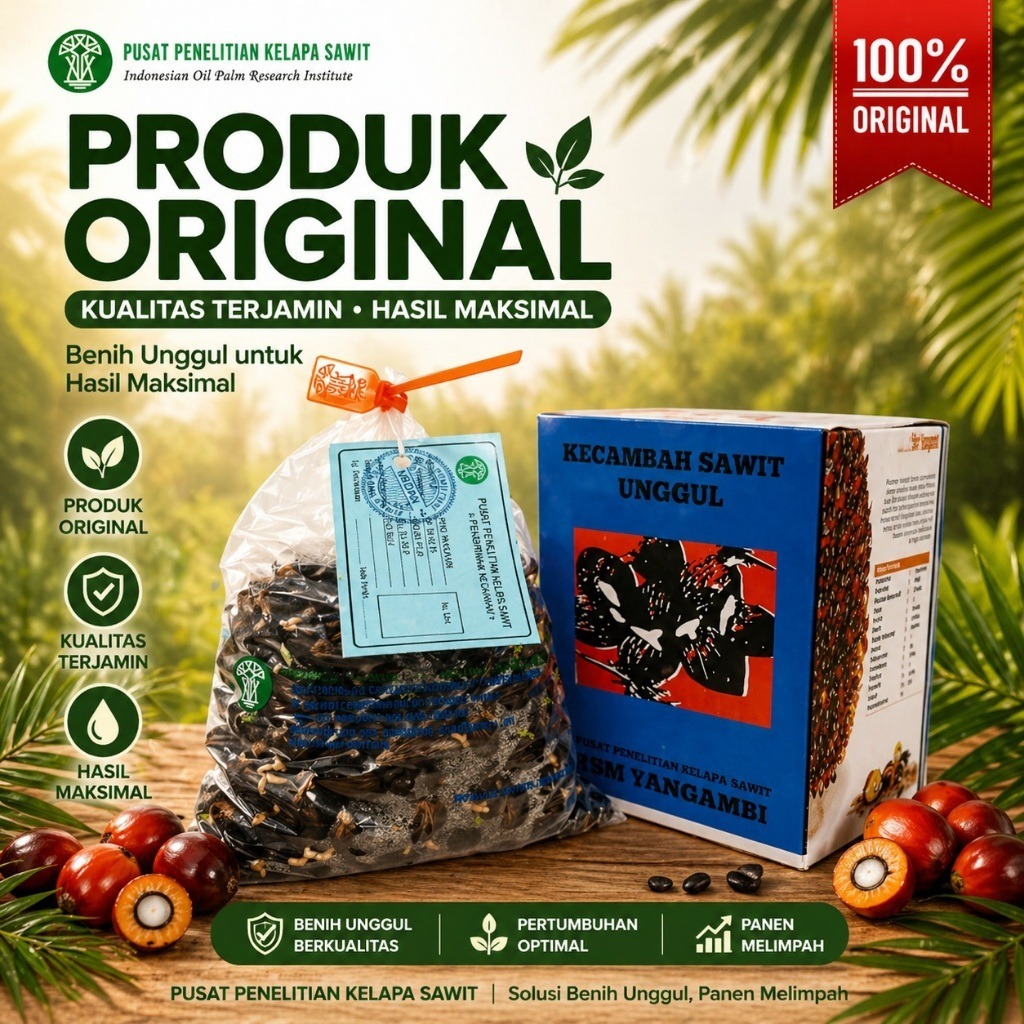 Bibit Kecambah Kelapa Sawit PPKS DxP Yangambi  Unggul Asli Medan Bersertifikat Resmi 100% Original I