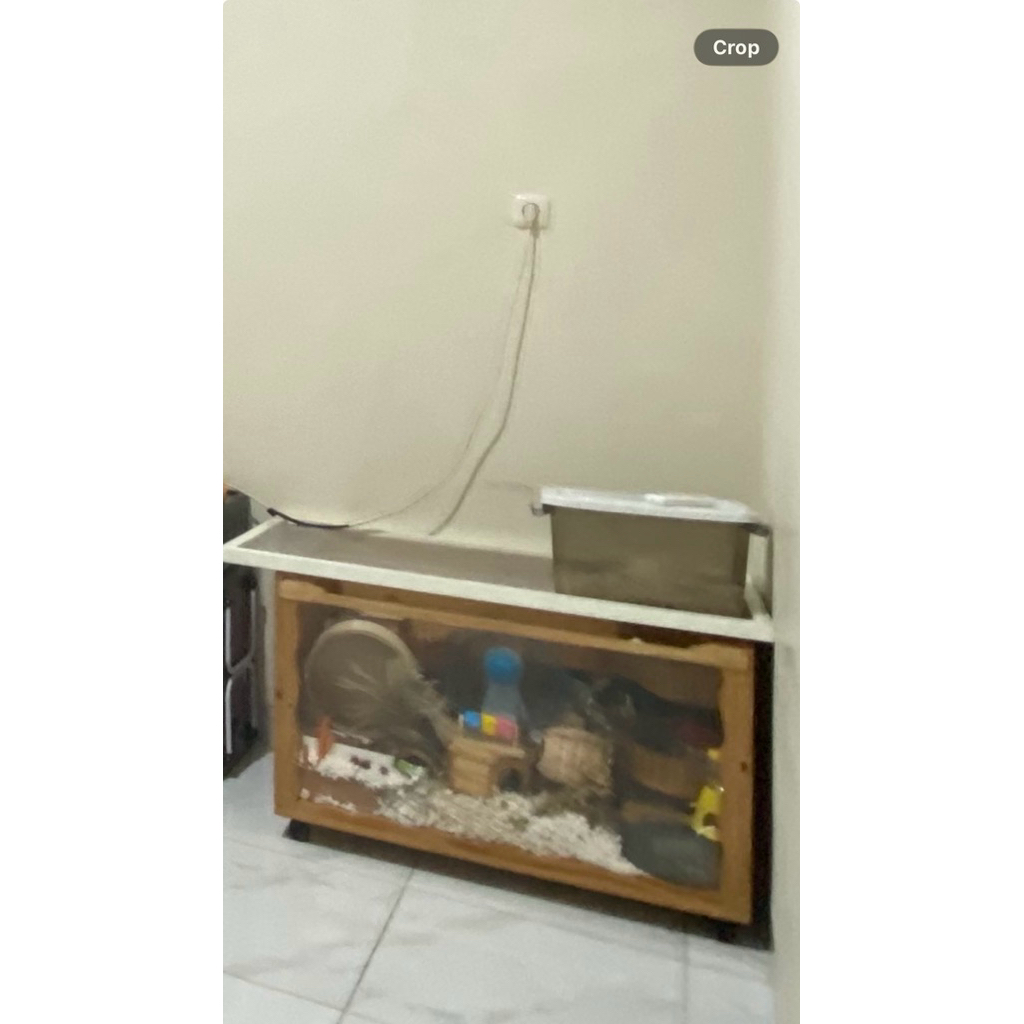 Preloved kandang hamster