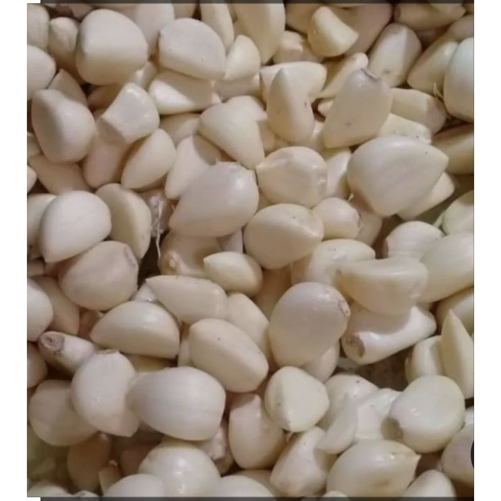 bawang putih kating kupas