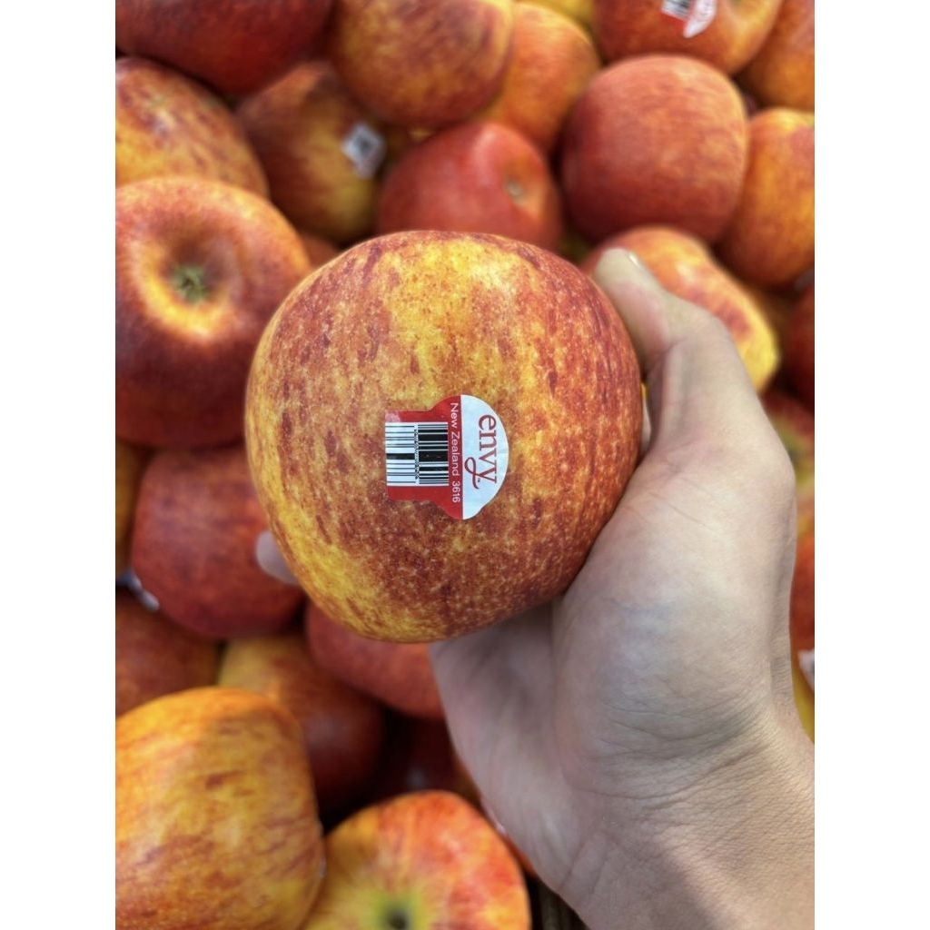 APEL ENVY JUMBO NEW ZEALAND