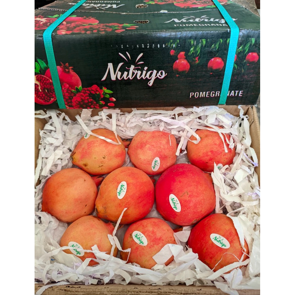 BUAH DELIMA INDIA / POMEGRANATE MESIR KRAT FRESH IMPORT ISI 11 READY DELIMA