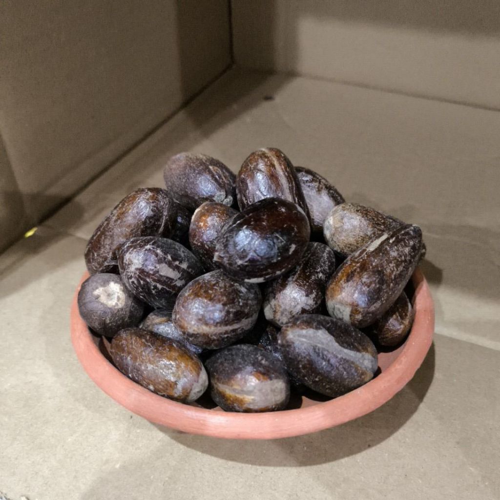 Pala Kocak Kulit Bagus 1kg
