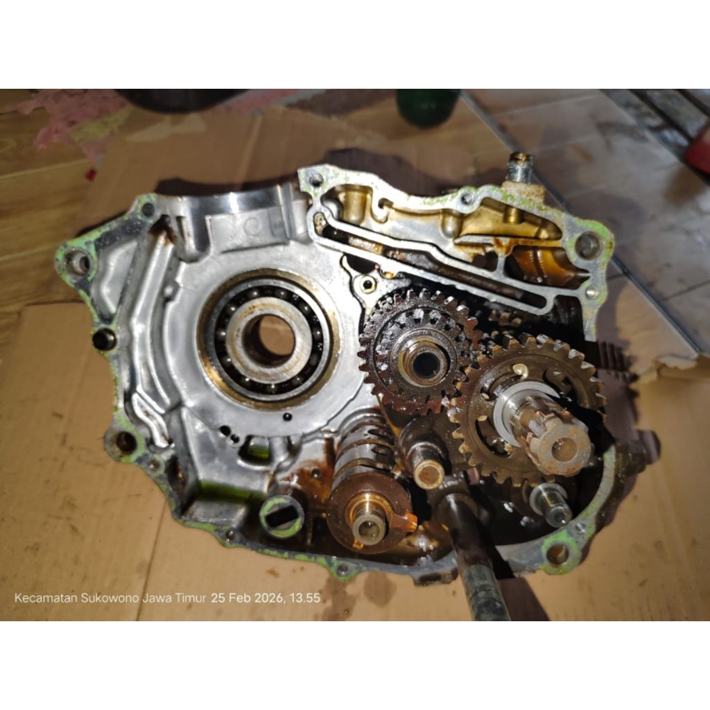 Rasio Tiger Revo Set