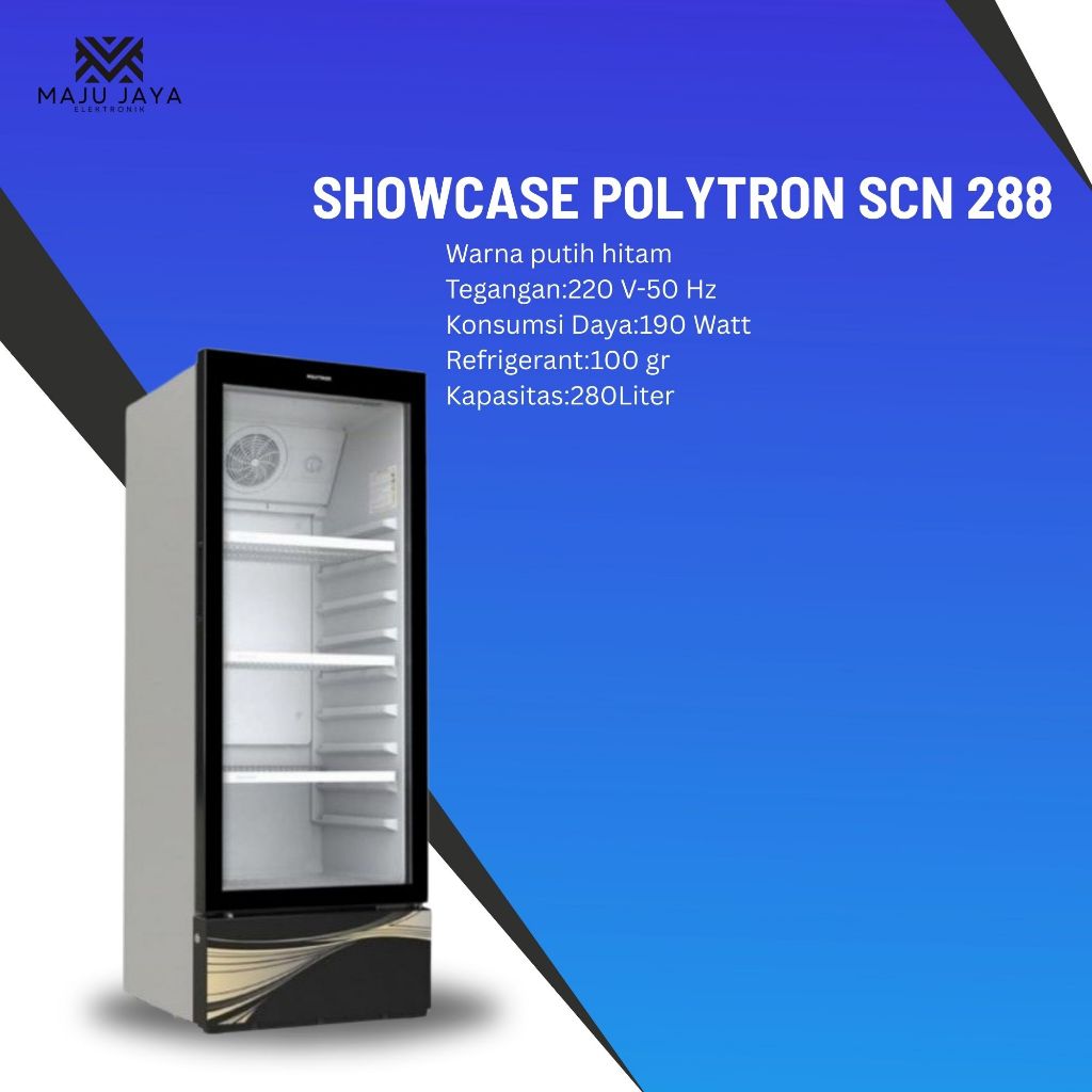 Polytron Showcase SCN 188X / SCN 188 X / SCN188 208L 8 Series No Frost
