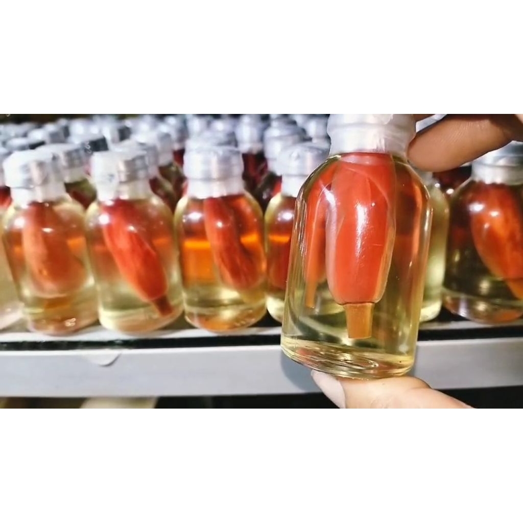 Bunga kantil merah segar