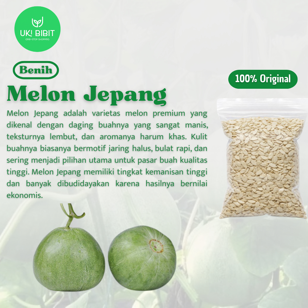 ( 10 Butir ) Benih Biji Melon Jepang | Melon Crown | Melon Yubari