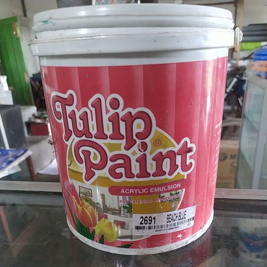 Cat Tembok Tulip Berat 5 kg berbagai warna