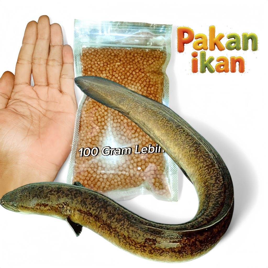 100 Gram Pakan ikan Sidat Pelet Apung Lele Gurami Pantai Nila Tombro