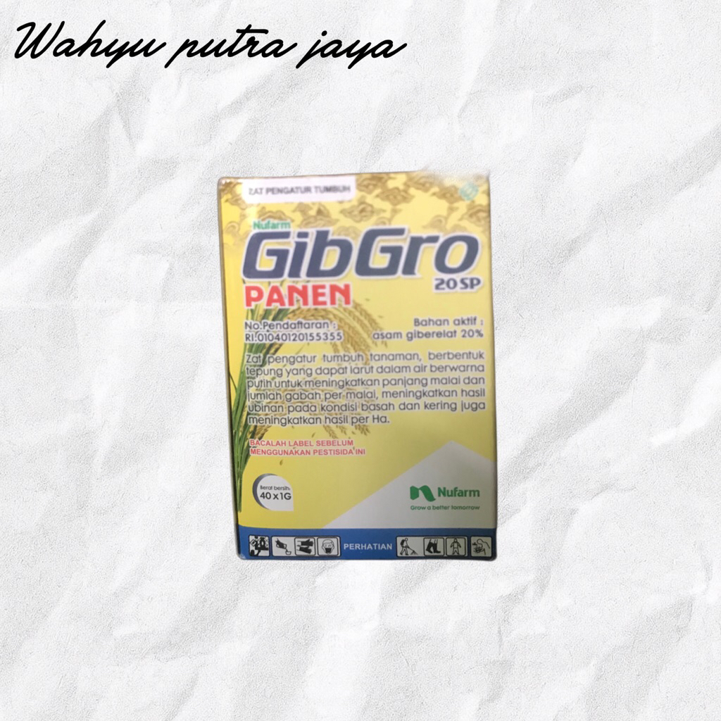 Gibgro Panen 20 SP ZPT Asam Giberelat 20% untuk Padi