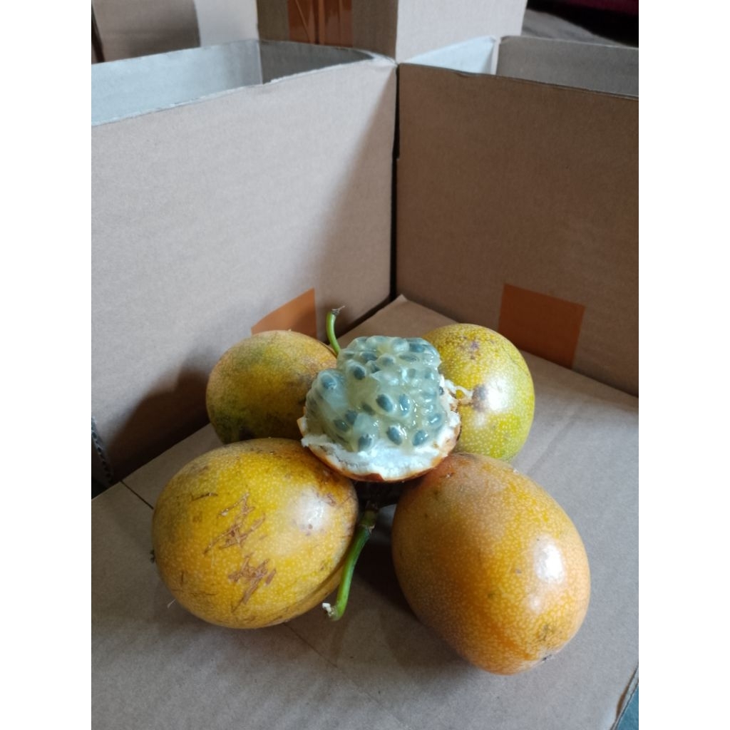 buah konyal Mateng manis dan segar