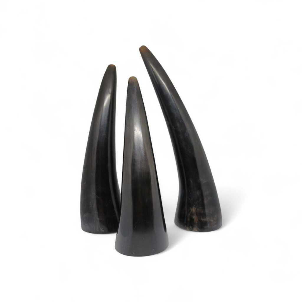 kop bekam bahan Tanduk kerbau