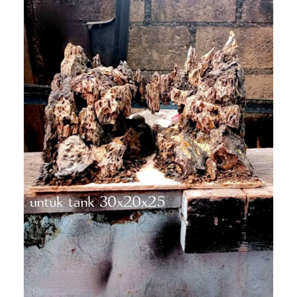 hardscape jungle aquascape