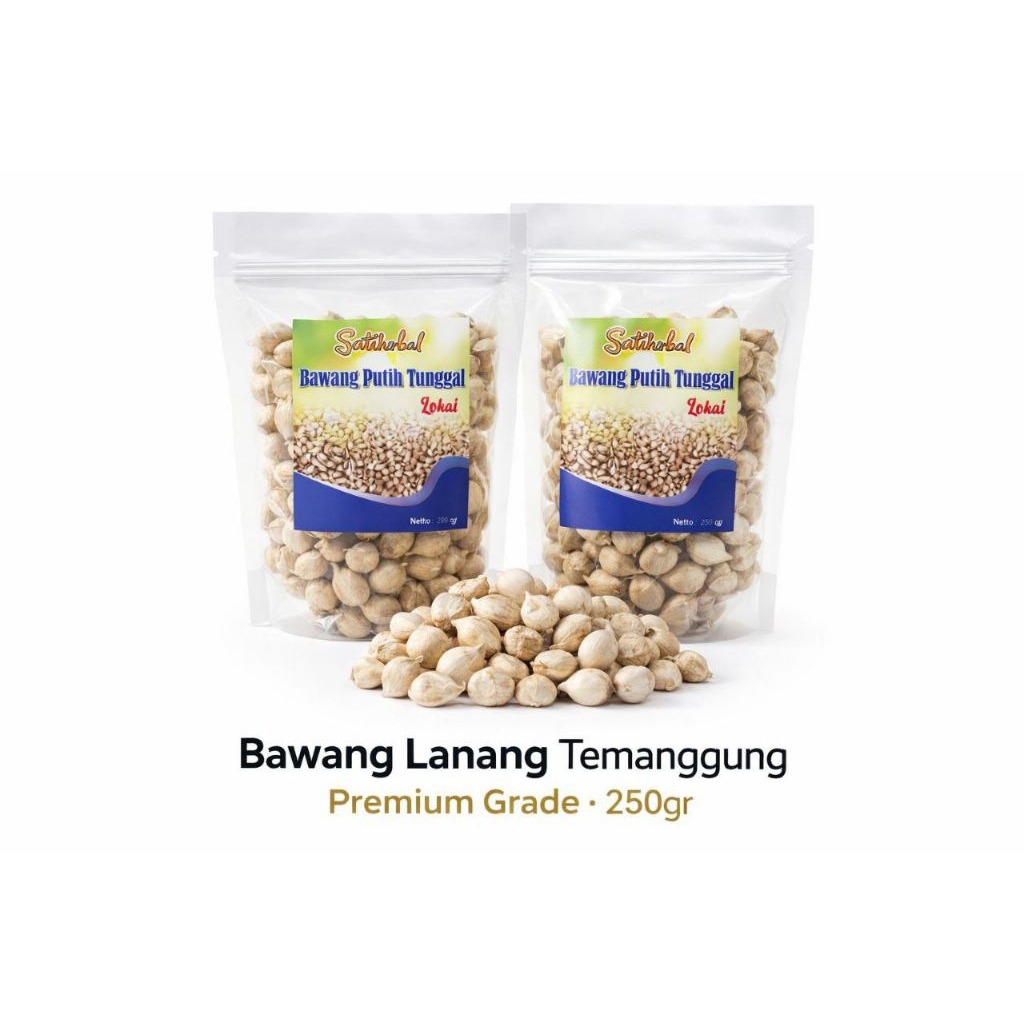 Bawang Lanang Temanggung 250gr | Bawang Putih Tunggal Asli Premium | Grade Pilihan