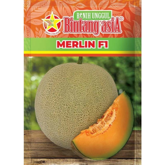 Biji 1 Benih Melon MERLIN F1