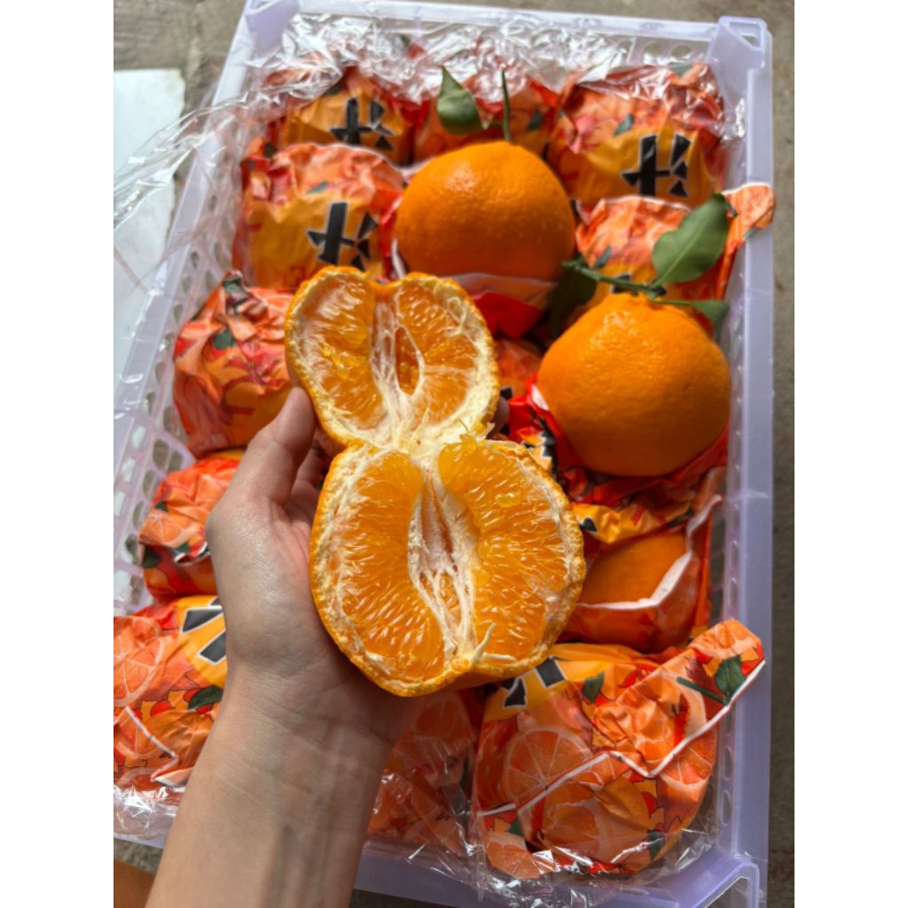 Jeruk Papagan Dekopon 1kg