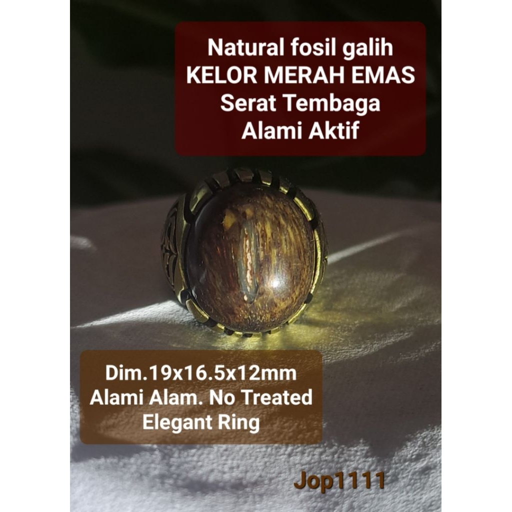 Natural Fsl GALIH KELOR MERAH EMAS SERAT TEMBAGA Aktif Alami Les Teras Gemunggal Batu Alam Motif Fok