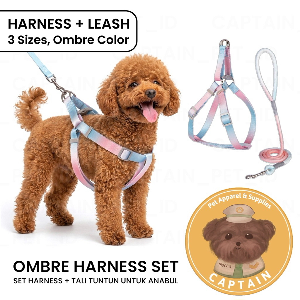 DOG HARNESS SET OMBRE TWO TONE LEASH KALUNG TALI TUNTUN ANJING ROMPI HEWAN PELIHARAAN BICHON POODLE 