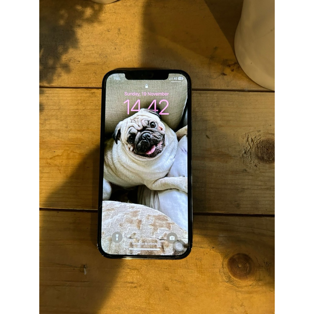 Iphone 13 Pro 512GB
