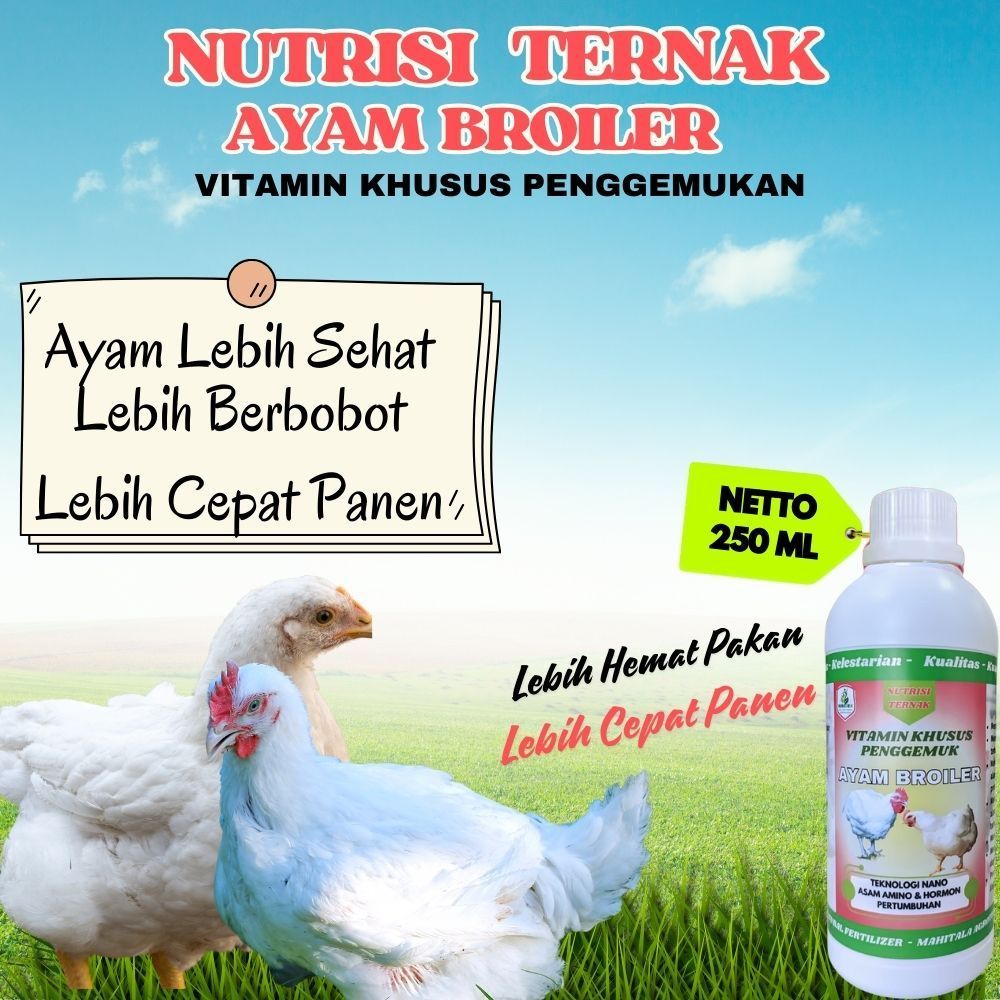 Penggemuk Ayam Broiler Vitamin Penambah Nafsu Makan Obat Ayam Broiler Suplemen Broiler Cepat Besar