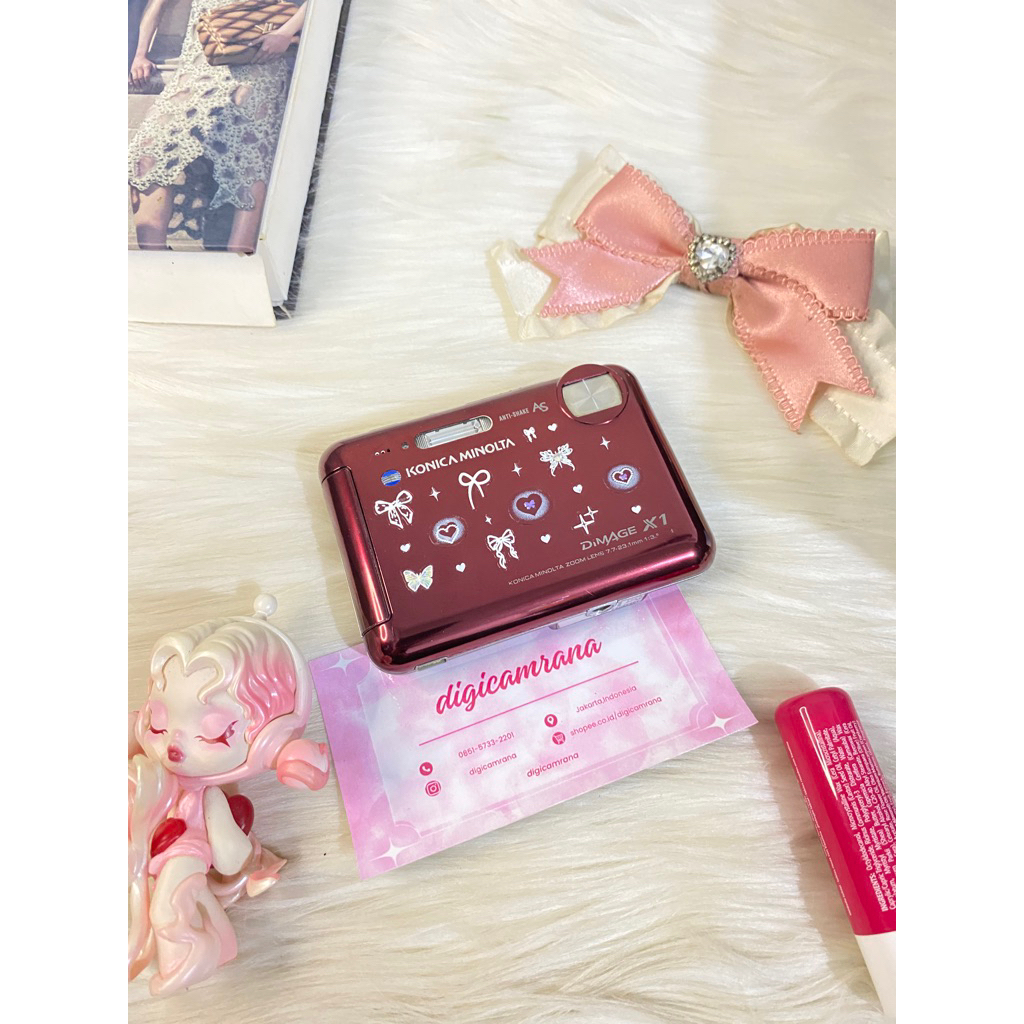 Konica minolta dimage x1