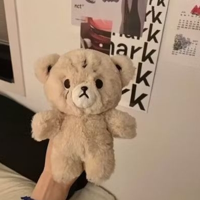 Doll plush Mark Lee Cheetah Lee NCT Fanmade Unofficial