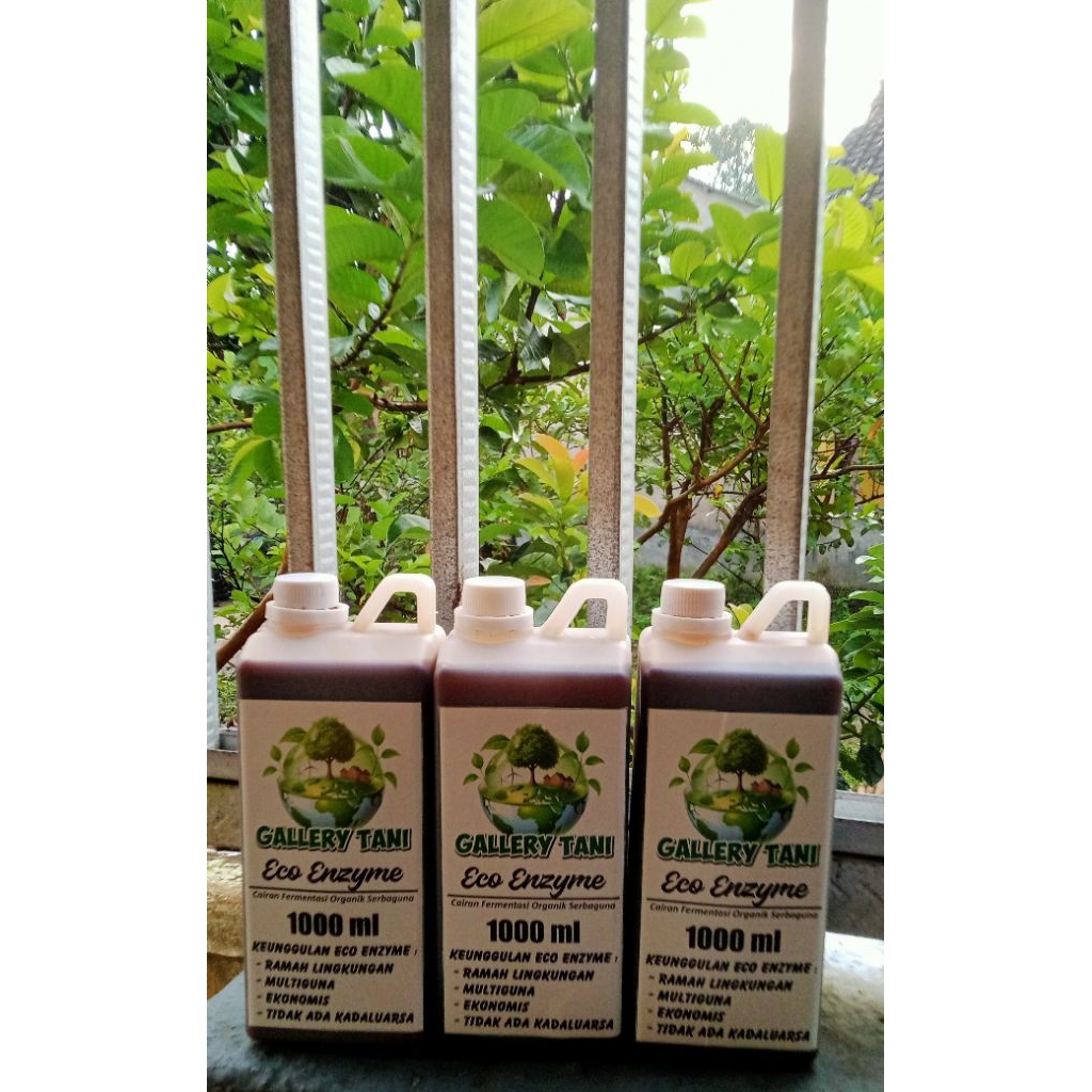 ECO ENZYME