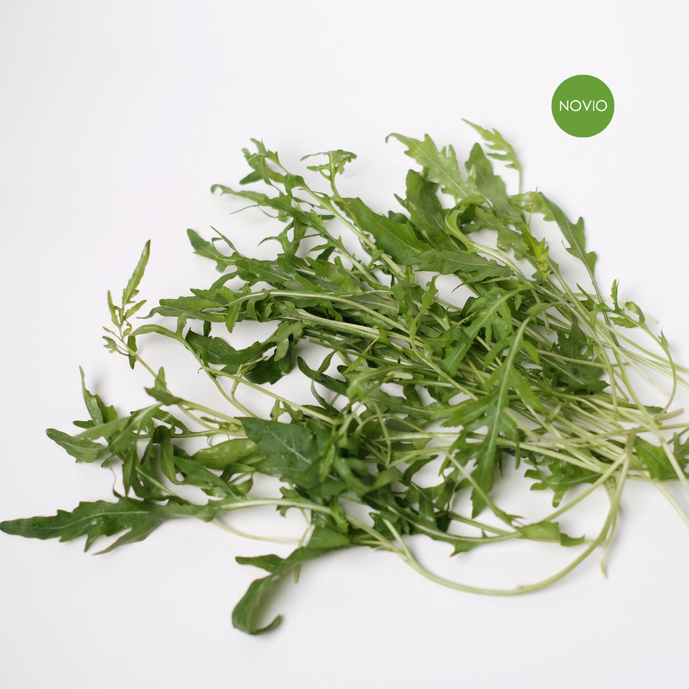 Daun wild rocket fresh / arugula / wild rocket / daun salad / wild rocket fresh